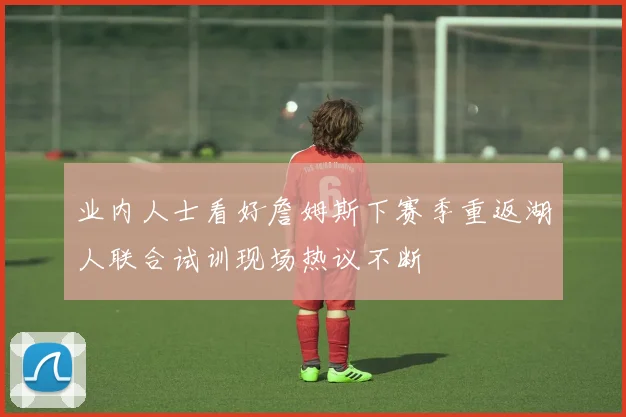 业内人士看好詹姆斯下赛季重返湖人联合试训现场热议不断