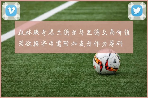 森林狼考虑兰德尔与里德交易价值若欲换字母需附加麦丹作为筹码