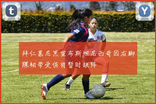 拜仁慕尼黑宣布斯坦尼西奇因右脚踝韧带受伤将暂时缺阵